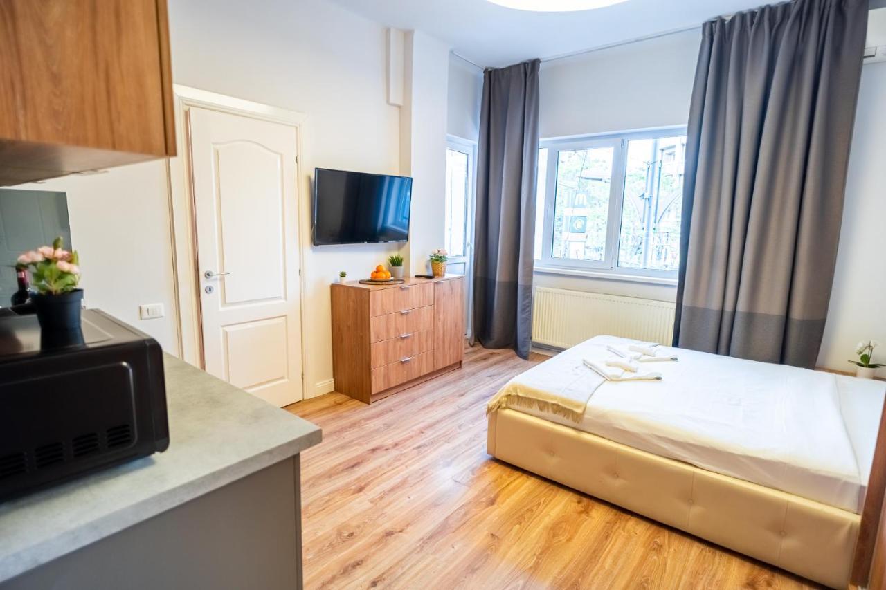 Cozy Apartments Near Calea Victoriei Boekarest Buitenkant foto